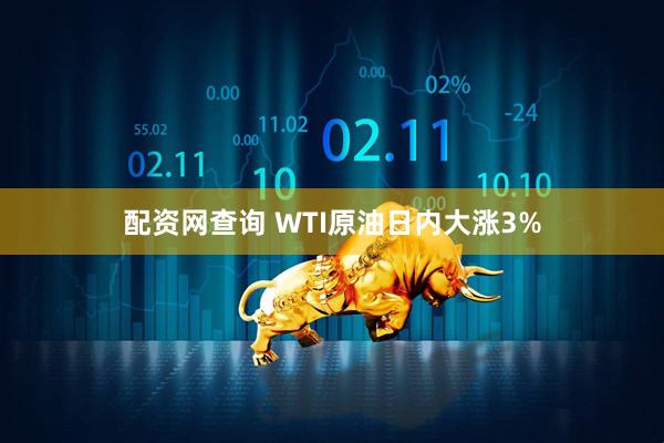配资网查询 WTI原油日内大涨3%