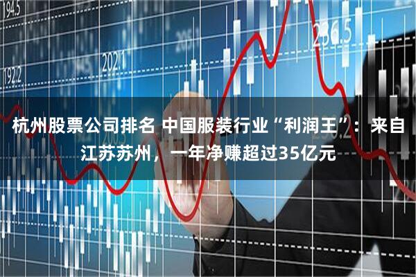 杭州股票公司排名 中国服装行业“利润王”：来自江苏苏州，一年净赚超过35亿元