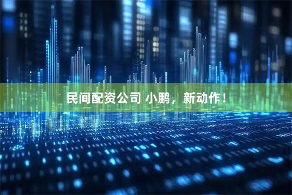 民间配资公司 小鹏，新动作！