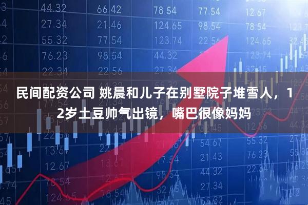 民间配资公司 姚晨和儿子在别墅院子堆雪人，12岁土豆帅气出镜，嘴巴很像妈妈